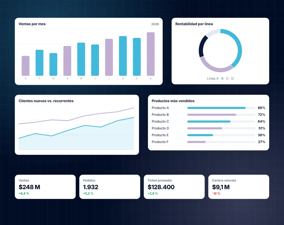 Panel de indicadores con gráficas de ventas por mes, rentabilidad, clientes y productos más vendidos